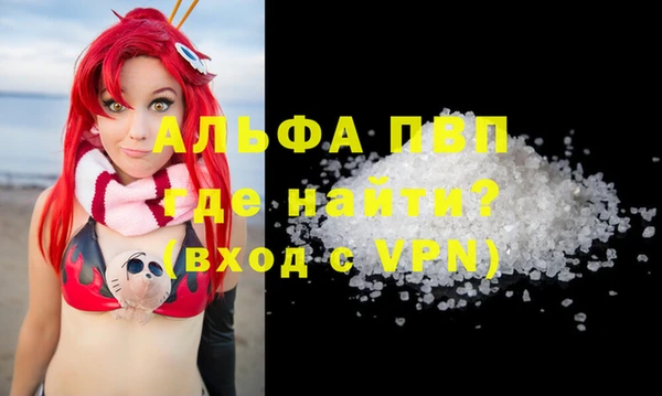 прущие грибы Пересвет