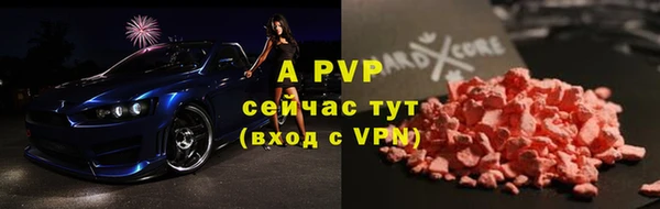 прущие грибы Пересвет