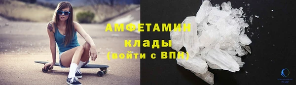 прущие грибы Пересвет