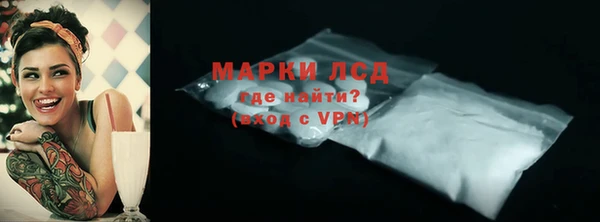прущие грибы Пересвет