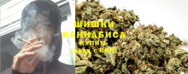 прущие грибы Пересвет