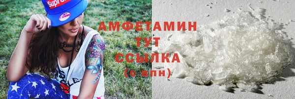 прущие грибы Пересвет
