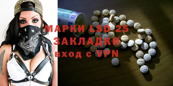прущие грибы Пересвет