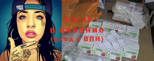 прущие грибы Пересвет