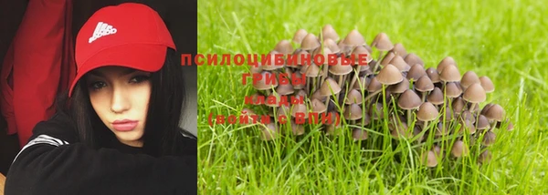 СК Пестово