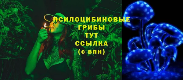 прущие грибы Пересвет