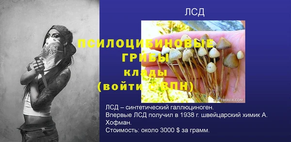 mdpv Переславль-Залесский