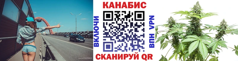 Конопля OG Kush  Почеп 